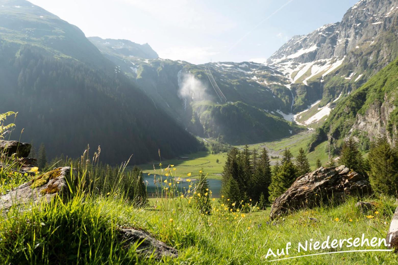 הולרבאך איםפינצגאו Ferienwohnung Auf Niedersehen - 8 Personen - Kitzbuehler Alpen - Hoehe Tauern Np מראה חיצוני תמונה
